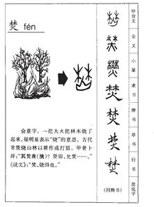 焚组词部首，稚组词