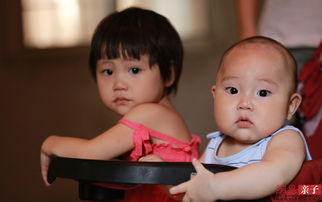 姐弟俩土豆粉加盟热线电话，姐弟俩土豆粉总部电话