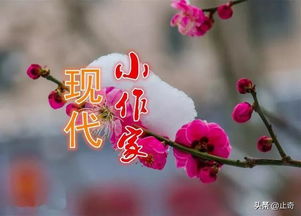 开在心中的花作文800字，开在心中的花朵作文800字