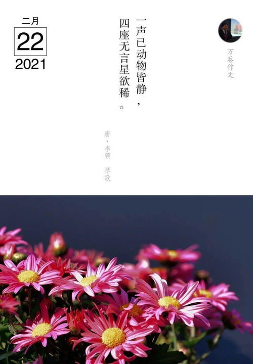 中考作文开在心中的花范文