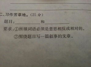 抄一篇300字的作文四年级，抄一篇300字的作文这儿真美