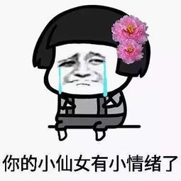 纵我不往子宁不嗣音是什么意思，纵我不往子宁不嗣音