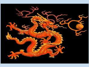 中华第一龙是在我国哪个省发现的，中华第一龙到底是哪个