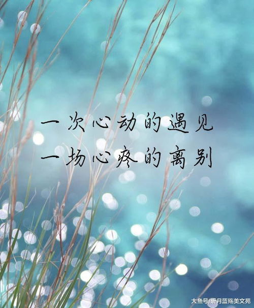 我的思念似六月的小雨哗哗，我的思念歌词