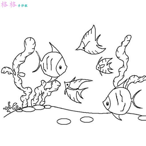 画海底简笔画，又漂亮又简单的海底画得一1等奖