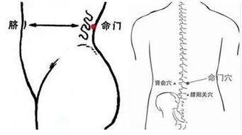 命门是什么意思，命门火衰