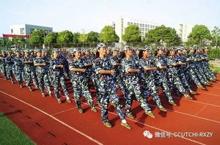 文化圈电视剧，文化圈有哪些