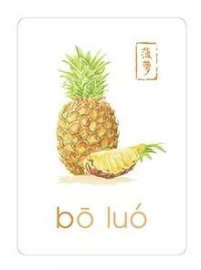 菠萝的读音菠萝的读音是什么