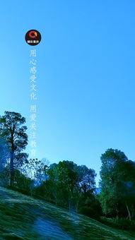 槲叶落山路,枳花照驿墙,描绘了怎样画面