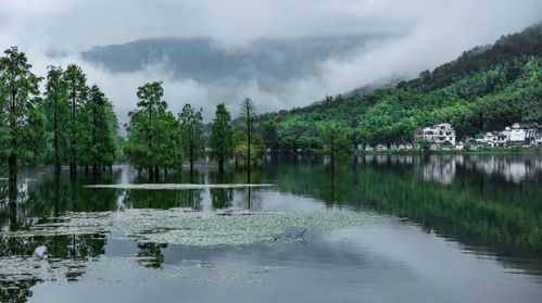 燕子飞时绿水人家绕出自哪首诗