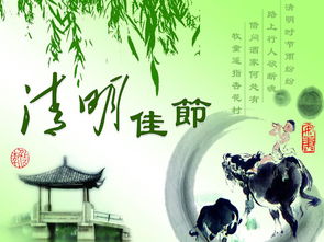 有关清明节的资料