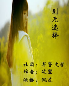 别无选择英语，别无选择 电视剧