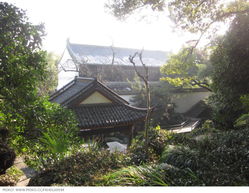 孤山寺北贾亭西，孤山不孤君心孤,断桥不断肝肠断