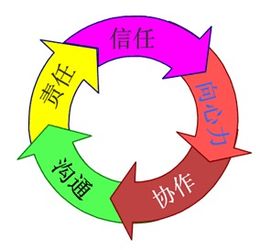 团队凝聚力的意思，凝聚力的意思和造句