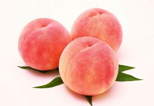 peaches是什么意思