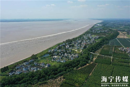 盐官古镇，盐官旅游官网