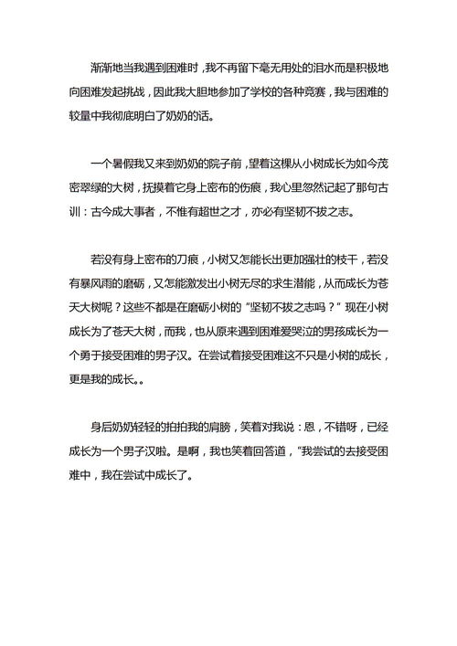 尝试作文600字初一，那是一次怎样的尝试作文600字