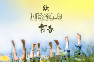 致青春的经典语句