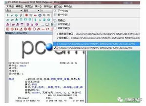 dim的英语单词是什么意思