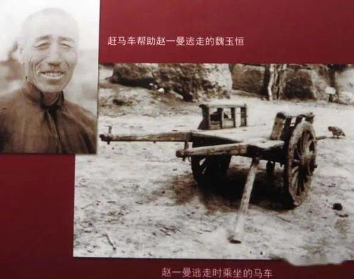 赵一曼资料故事