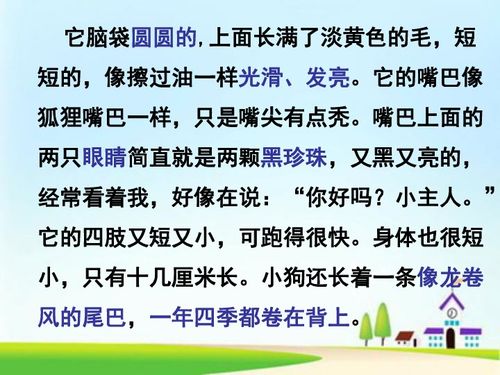 我喜欢的小动物作文