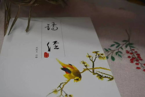 诗经《子衿》的全文翻译、赏析