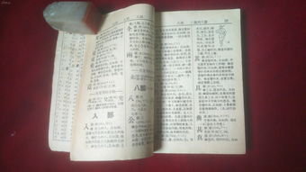字典的英文是什么?