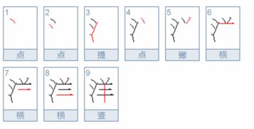 洋字组词语有哪些词语，洋的组词是什么啊 app