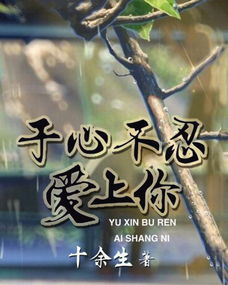 于心不忍的意思