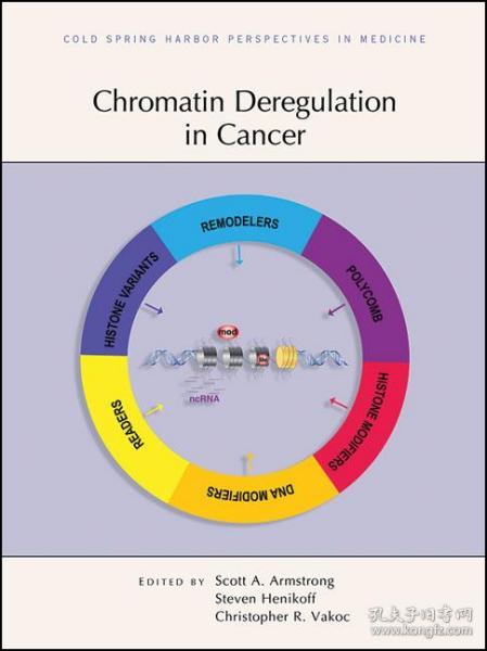 chromatin抗体，chromatin accessibility
