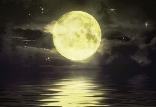 moon是什么意思中文翻译怎么读，moo是什么意思