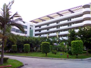 广东2b院校(广东2b院校学费)