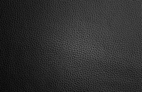 皮革的英文单词，我的世界中皮革的英文