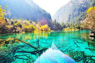 九寨沟在四川哪里哪个市，九寨沟在四川哪里地图