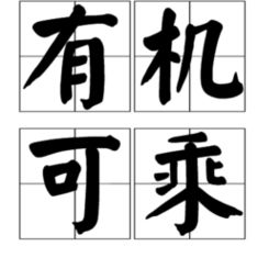 有什么可什么成语