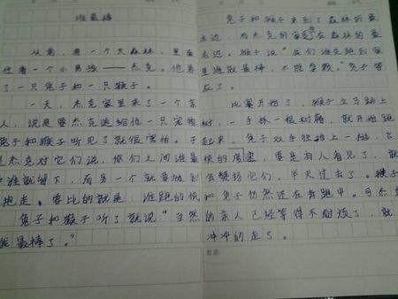 摘抄300字作文