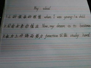 作文100个字左右