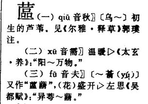 谵读音是什么意思