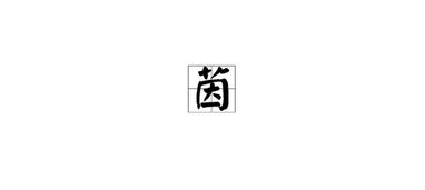 茵的组词是什么?