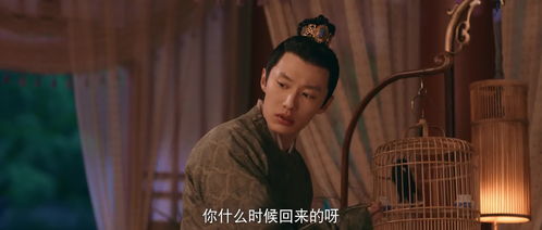 宋朝的衙内是什么意思，高官的衙内是什么意思