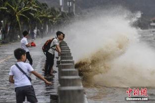 狂风暴雨的意思