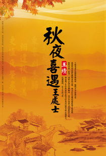 秋夜喜遇王处士一诗抒发了诗人怎样的思想感情