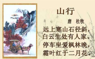 旄的拼音