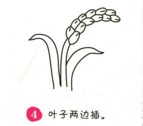水稻简笔画简单又好看，水稻简笔画儿童画