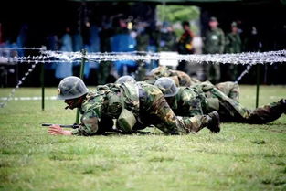 匍匐前进的意思