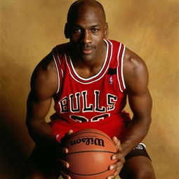 michael jordan什么意思