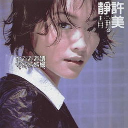 许美静的《遗憾》 歌词