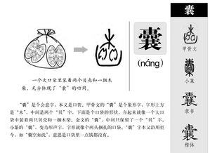 萤的组词，萤的组词有什么