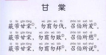 召南怎么读拼音，召南注音版