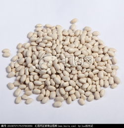 白豆是什么 白豆简单介绍